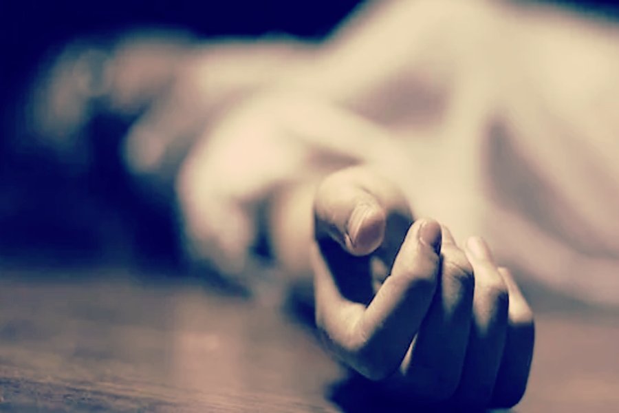 suicide crime death news