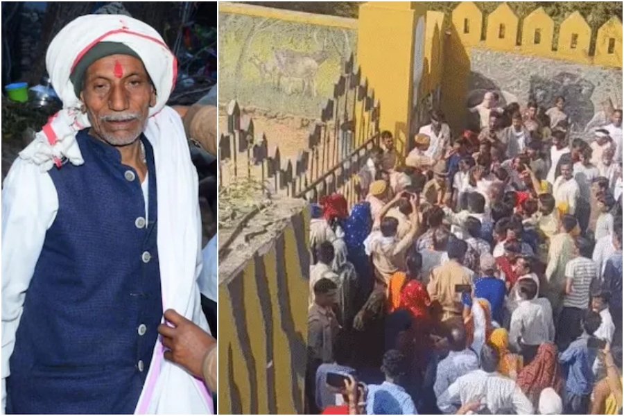 Tiger Attack Claims Priest’s Life Near Ranthambore Jain Temple